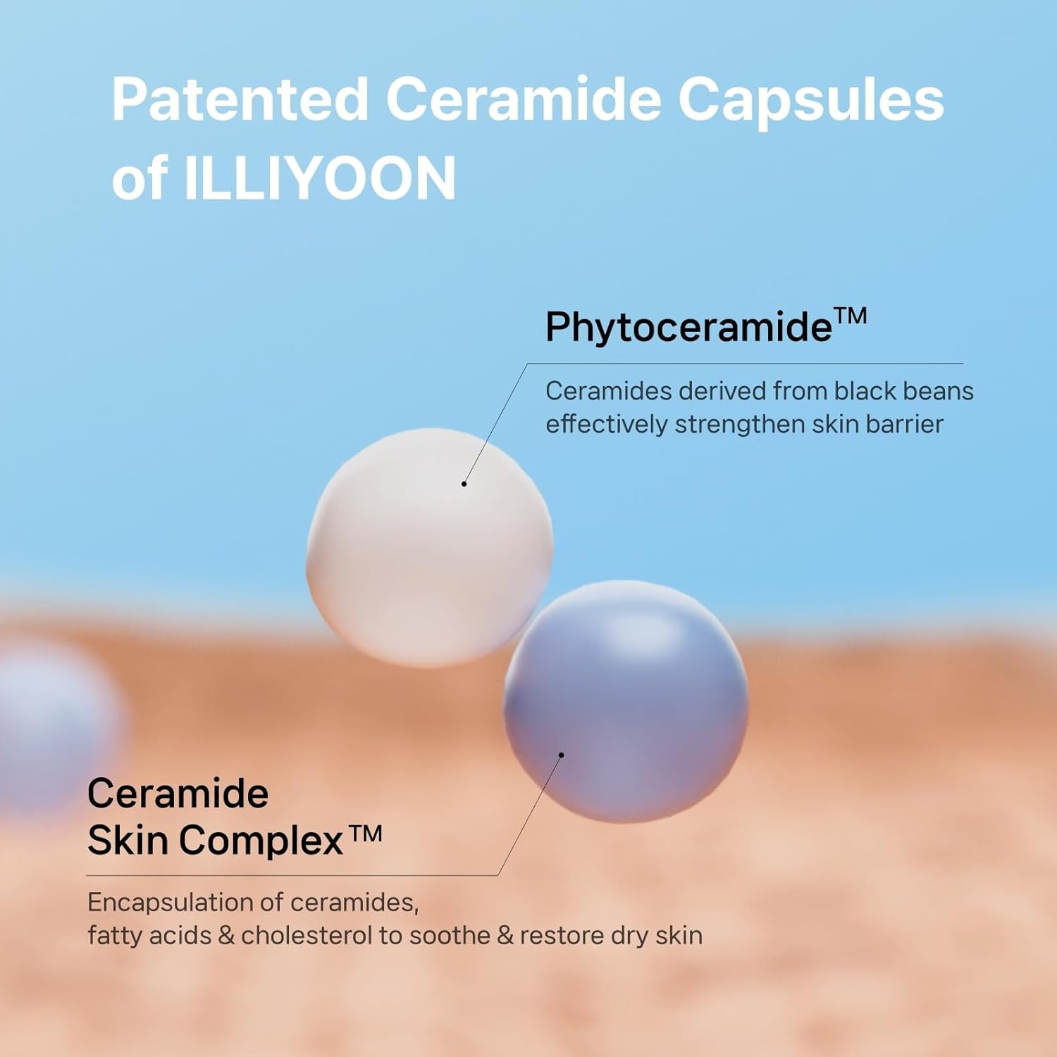 Ceramide Ato Concentrate Cream (200Ml, 6.76 Fl Oz) | Moisturizer for Dry&Sensitive Skin, 100Hr Hydration, Restoring Skin Barrier | Gentle for Infants and Adults | Vegan | Fragrance Free